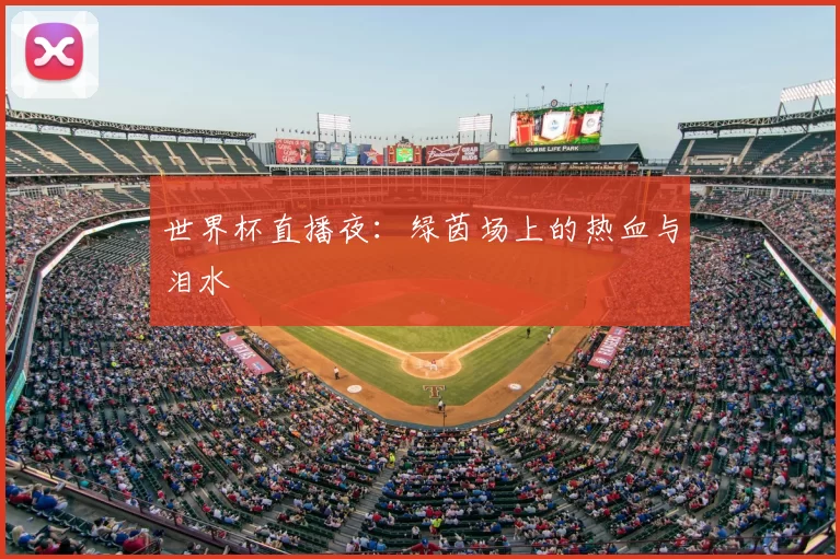 世界杯直播夜：绿茵场上的热血与泪水