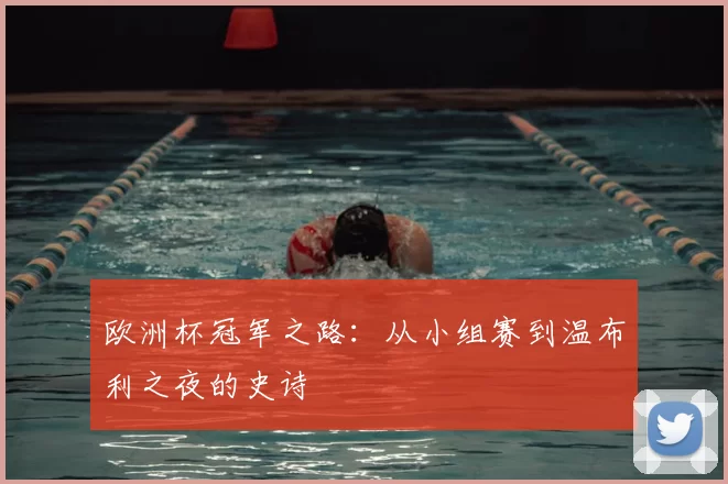 欧洲杯冠军之路：从小组赛到温布利之夜的史诗