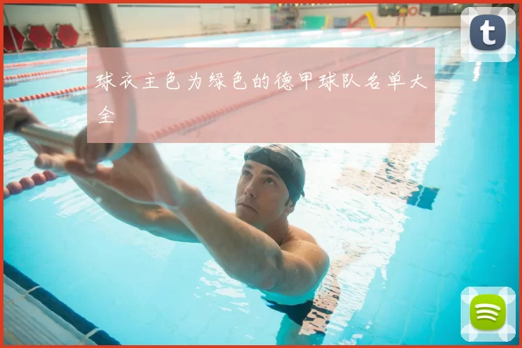 球衣主色为绿色的德甲球队名单大全