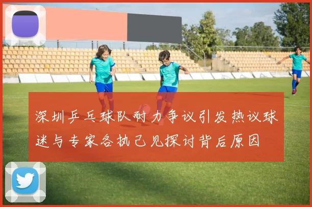深圳乒乓球队耐力争议引发热议球迷与专家各执己见探讨背后原因
