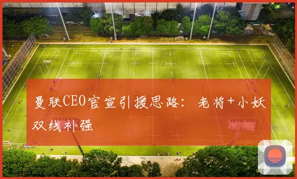 曼联CEO官宣引援思路：老将+小妖双线补强