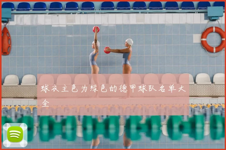 球衣主色为绿色的德甲球队名单大全