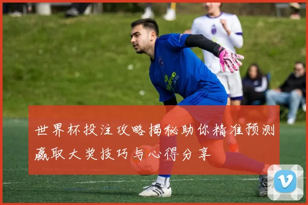 世界杯投注攻略揭秘助你精准预测赢取大奖技巧与心得分享