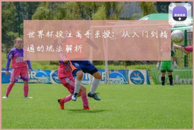 世界杯投注高手亲授：从入门到精通的玩法解析