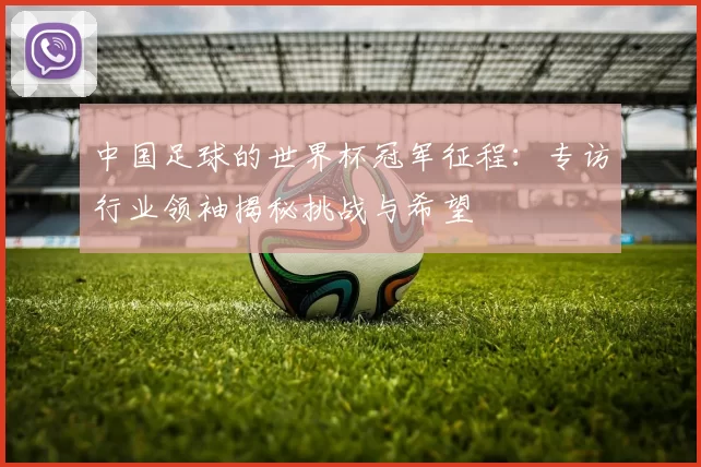 中国足球的世界杯冠军征程：专访行业领袖揭秘挑战与希望