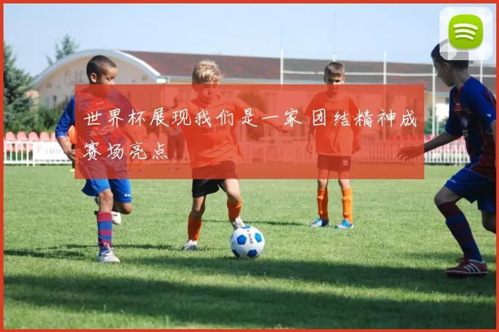 世界杯展现我们是一家 团结精神成赛场亮点