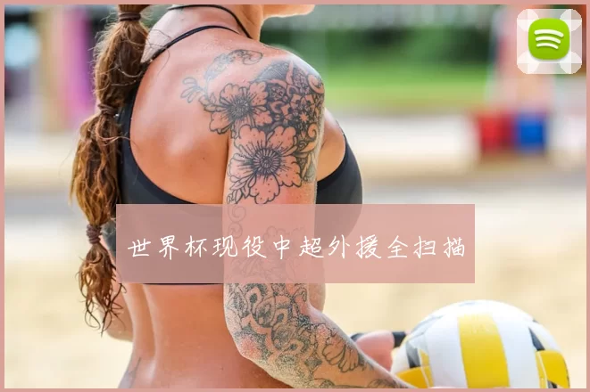 世界杯现役中超外援全扫描