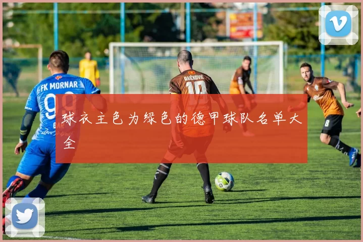 球衣主色为绿色的德甲球队名单大全