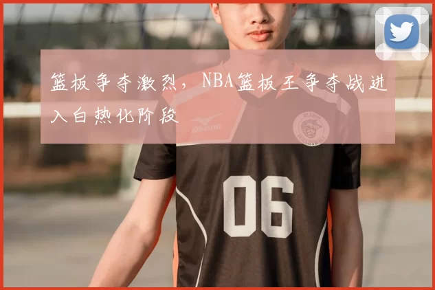 篮板争夺激烈,NBA篮板王争夺战进入白热化阶段