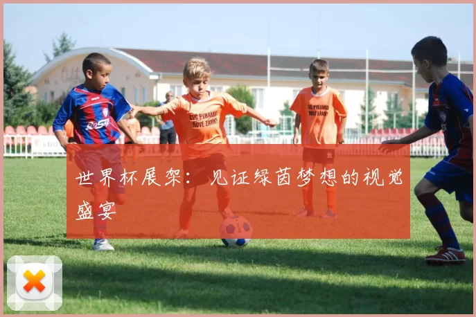 世界杯展架：见证绿茵梦想的视觉盛宴