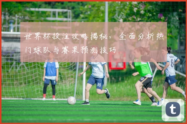 世界杯投注攻略揭秘,全面分析热门球队与赛果预测技巧