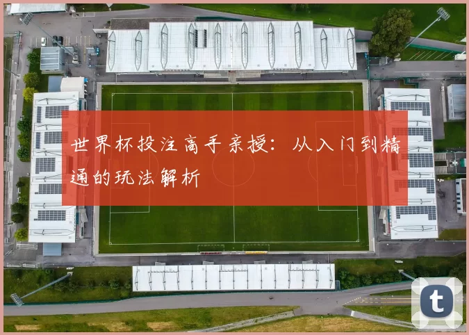 世界杯投注高手亲授：从入门到精通的玩法解析