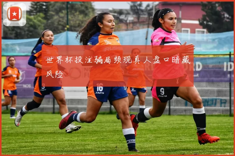 世界杯投注骗局频现真人盘口暗藏风险