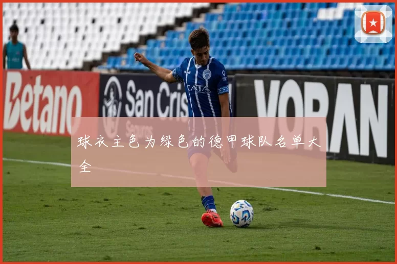 球衣主色为绿色的德甲球队名单大全