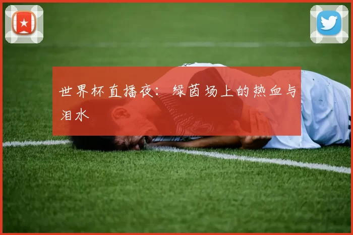 世界杯直播夜：绿茵场上的热血与泪水